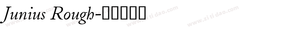 Junius Rough字体转换